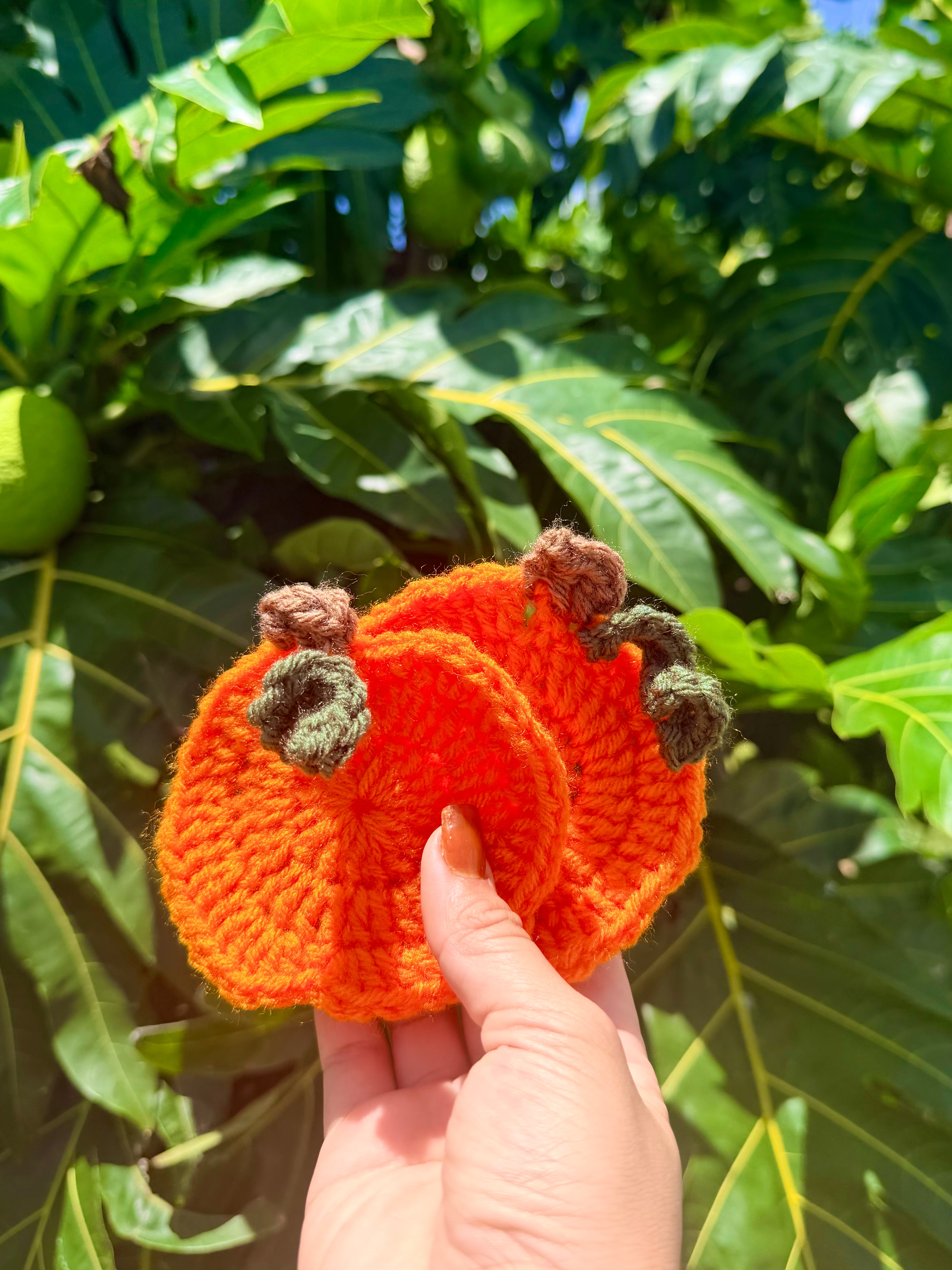 Crochet Pumpkin Coaster Set